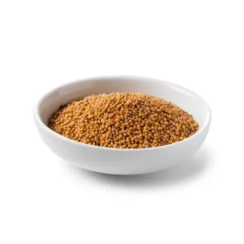 Natural Yellow Mustard Seed